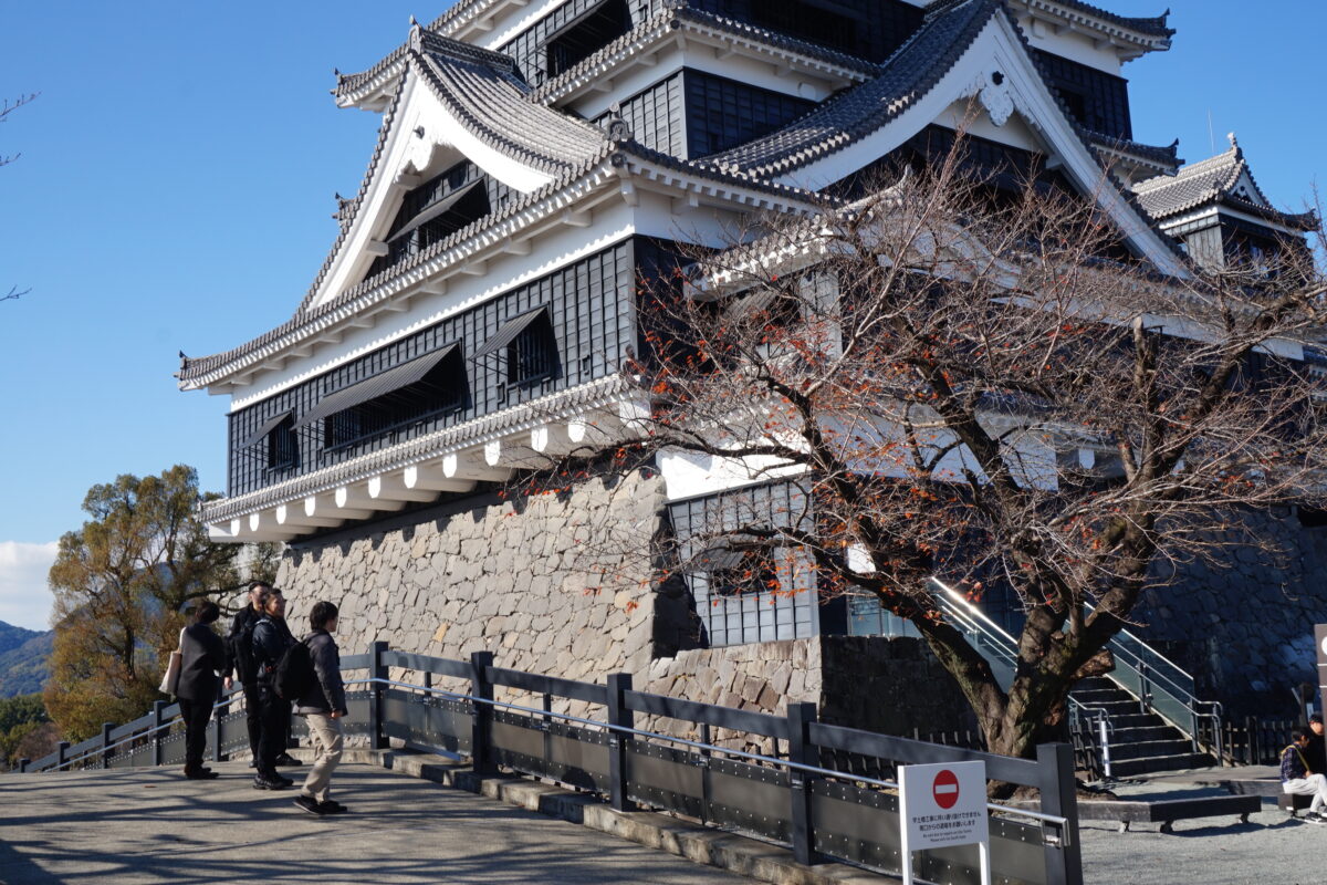 熊本社員旅行2025 | 福岡ホームページ制作・SEO対策のメディアクロス