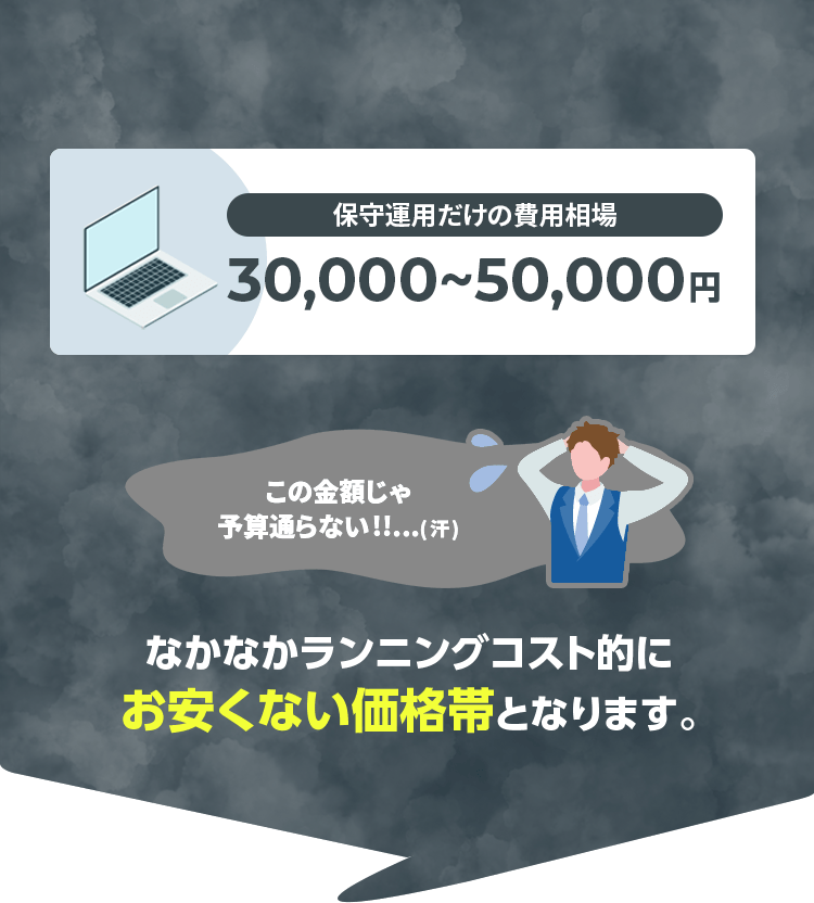 運用保守だけの費用相場は30,000円～50,000円となっており、なかなかランニングコスト的にお安くない価格帯となります。